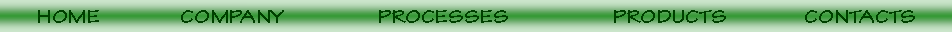 Casella di testo: HOME		COMPANY		 PROCESSES			PRODUCTS		CONTACTS
